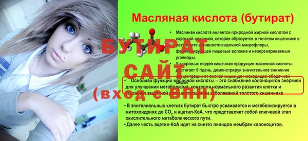 дживик Гусь-Хрустальный