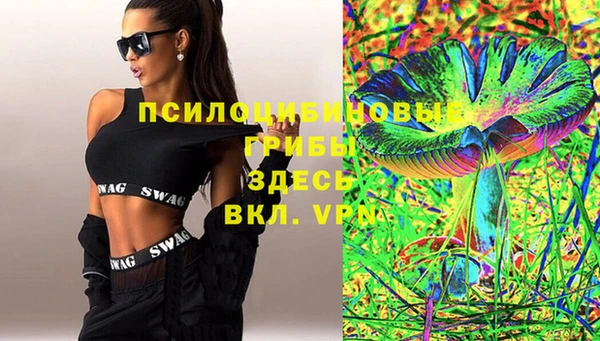 дживик Гусь-Хрустальный